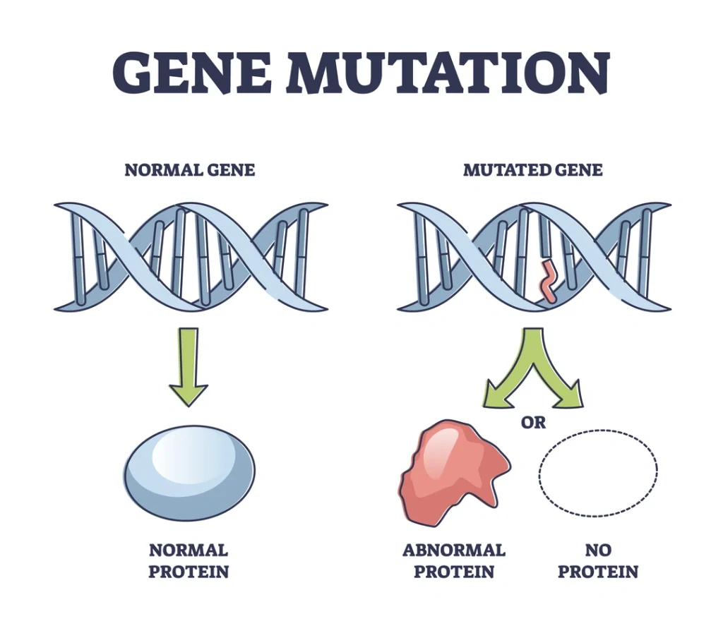 Breast Cancer Gene Mutation DNA inforgraphic