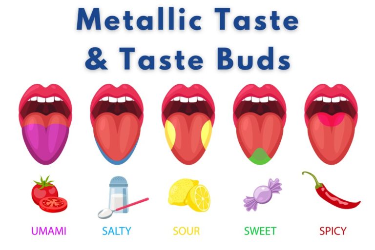 Unraveling Taste Buds: Metallic Taste Triggers Revealed